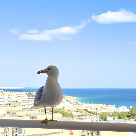 アパート Les 3 Dauphins In *