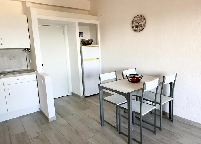 Les 3 Dauphins In Apartment