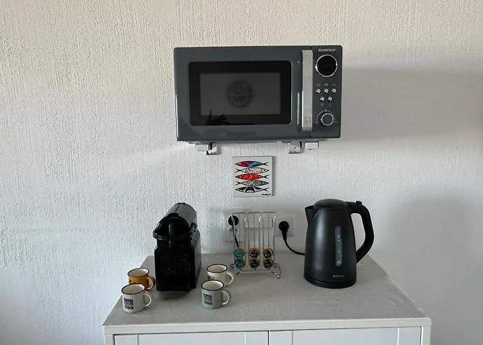 Les 3 Dauphins In Apartment