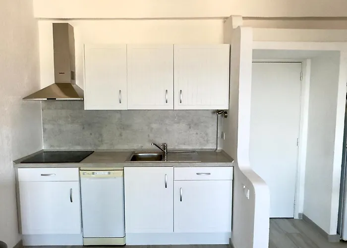 Apartment Les 3 Dauphins In