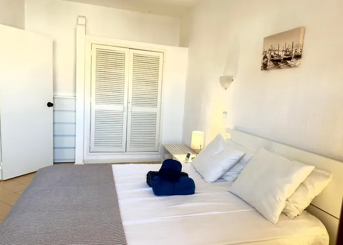 Les 3 Dauphins In Apartment Albufeira