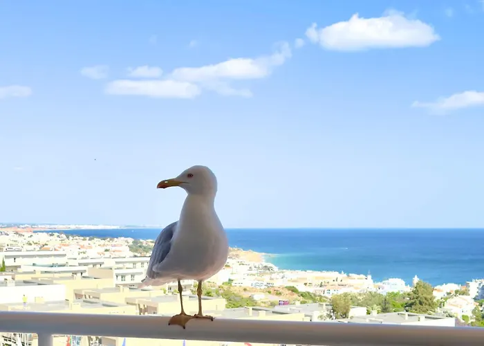 Apartment Les 3 Dauphins In *